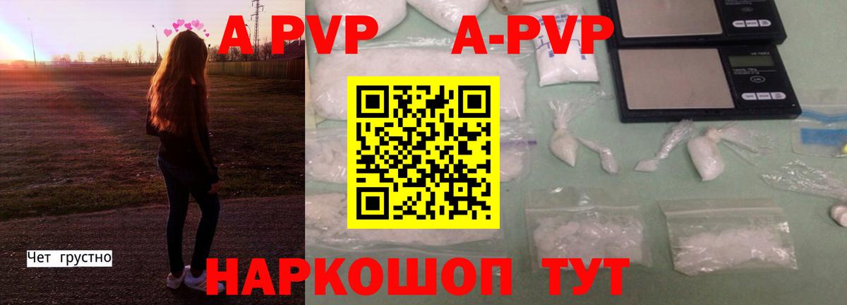APVP СК  Вход с VPN  Alfa_PVP крисы CK  Alfa_PVP  как найти   Унеча 